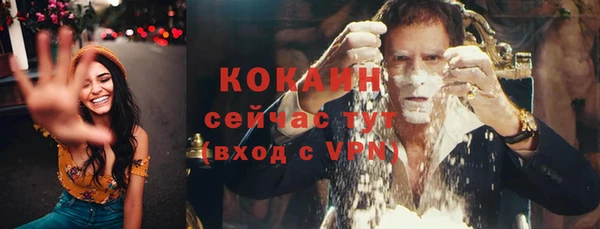 крисы Майский