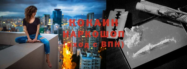 крисы Майский