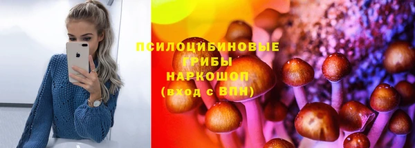 крисы Майский